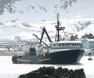 Jobs on a Factory Trawler - Quality Control, Combie, Deckhand